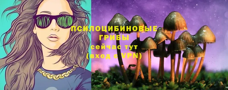 Псилоцибиновые грибы Psilocybine cubensis  маркетплейс телеграм  Волчанск 